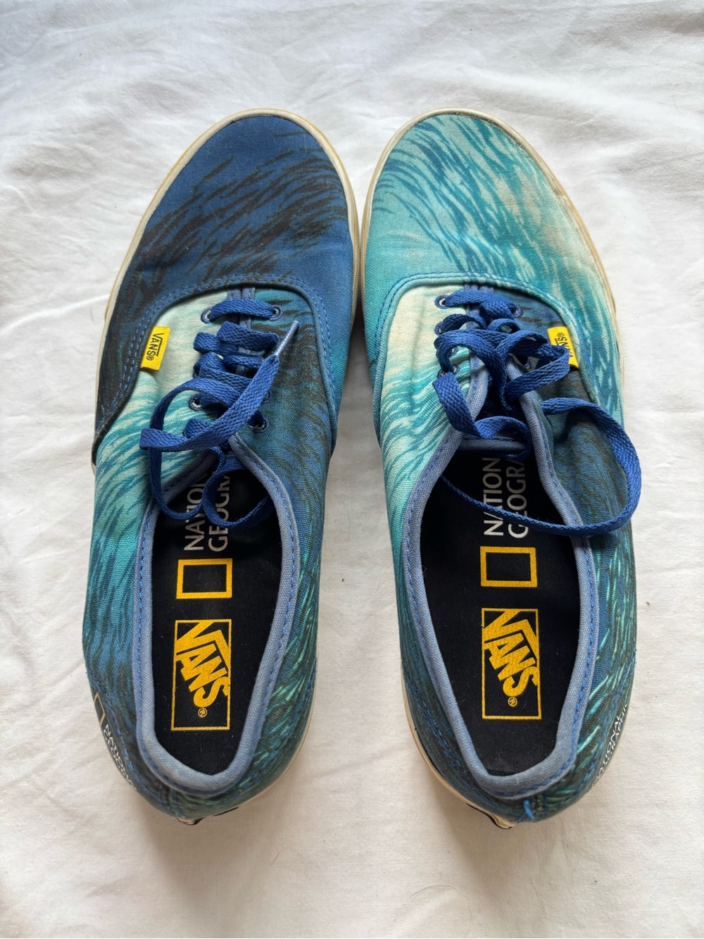 VANS National Geographic Blue Teal Wave Canvas Men's Sneakers